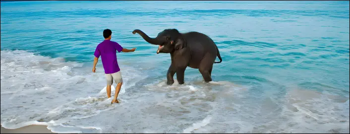 Anadaman 6 nights 7 days tour with Touristhub Holidays