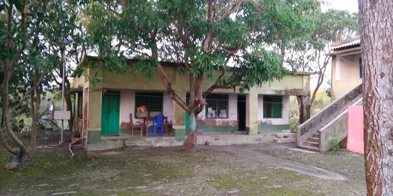 Lothian Island Sundarbans