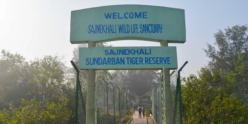 Sajnekhali Wildlife Sanctuary Sundarbans