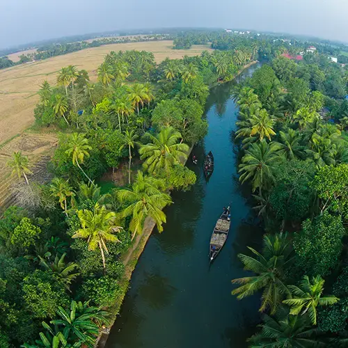 Munnar Alleppey tour packages from Surat with Touristhub holidays