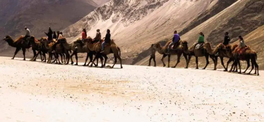 Nubra trip package with Tourist Hub India