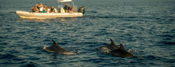 dweep nivas lakshadweep contact number