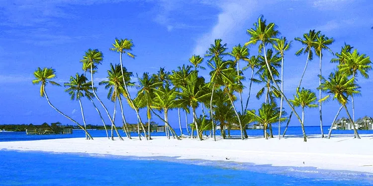 Lakshadweep packages from Kochi with touristhubindia