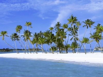 Bliss resort
