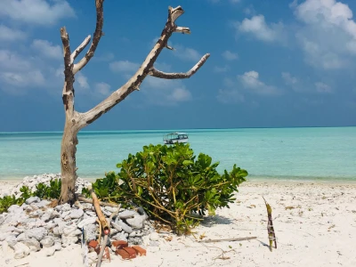 Coral Garden resort accommodation