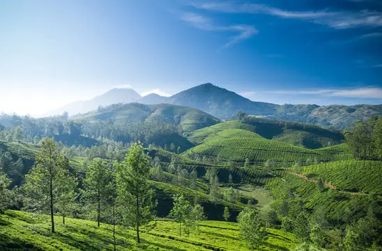 Darjeeling tour from Bagdogra with Explore Touristhub Holidays