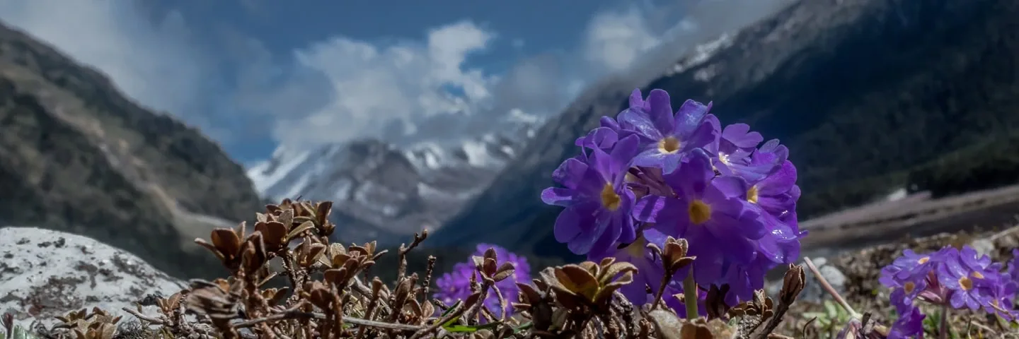 Sikkim