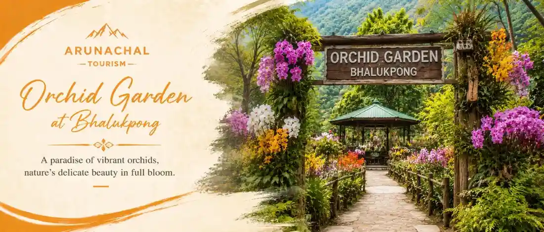 Assam tour packages from Nashik package with Touristhub Holidays