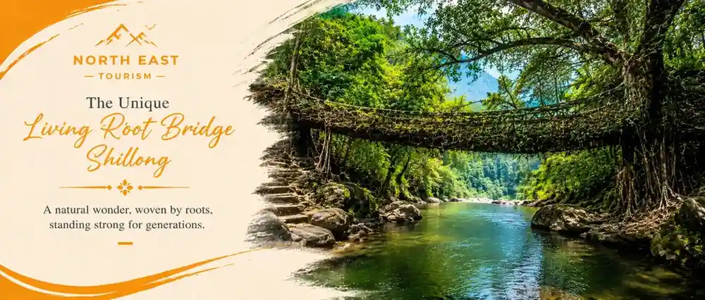 Assam trip from Nashik with Touristhub Holidays