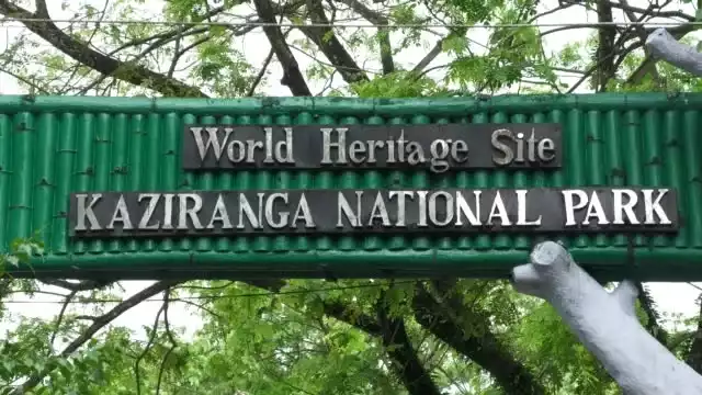 north east Kaziranga tour from Hyderabad with touristhubindia