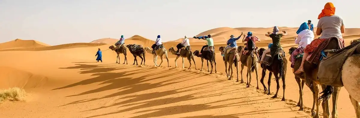 Pune to Rajasthan camel safari tour
