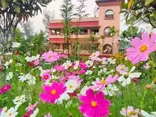 Sundarban photography tour plan with dayapur resort from Touristhub Holidays