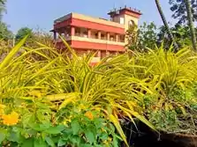 sundarban resort