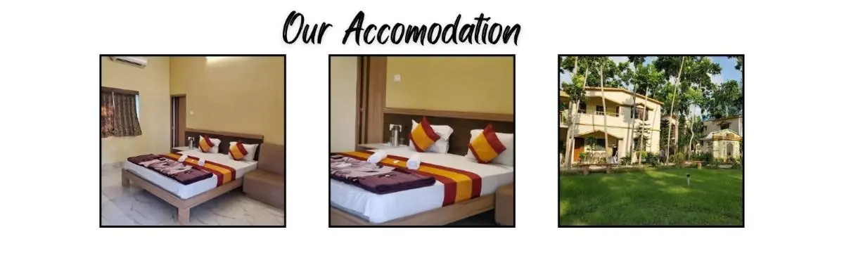 Sundarban tour package from kolkata