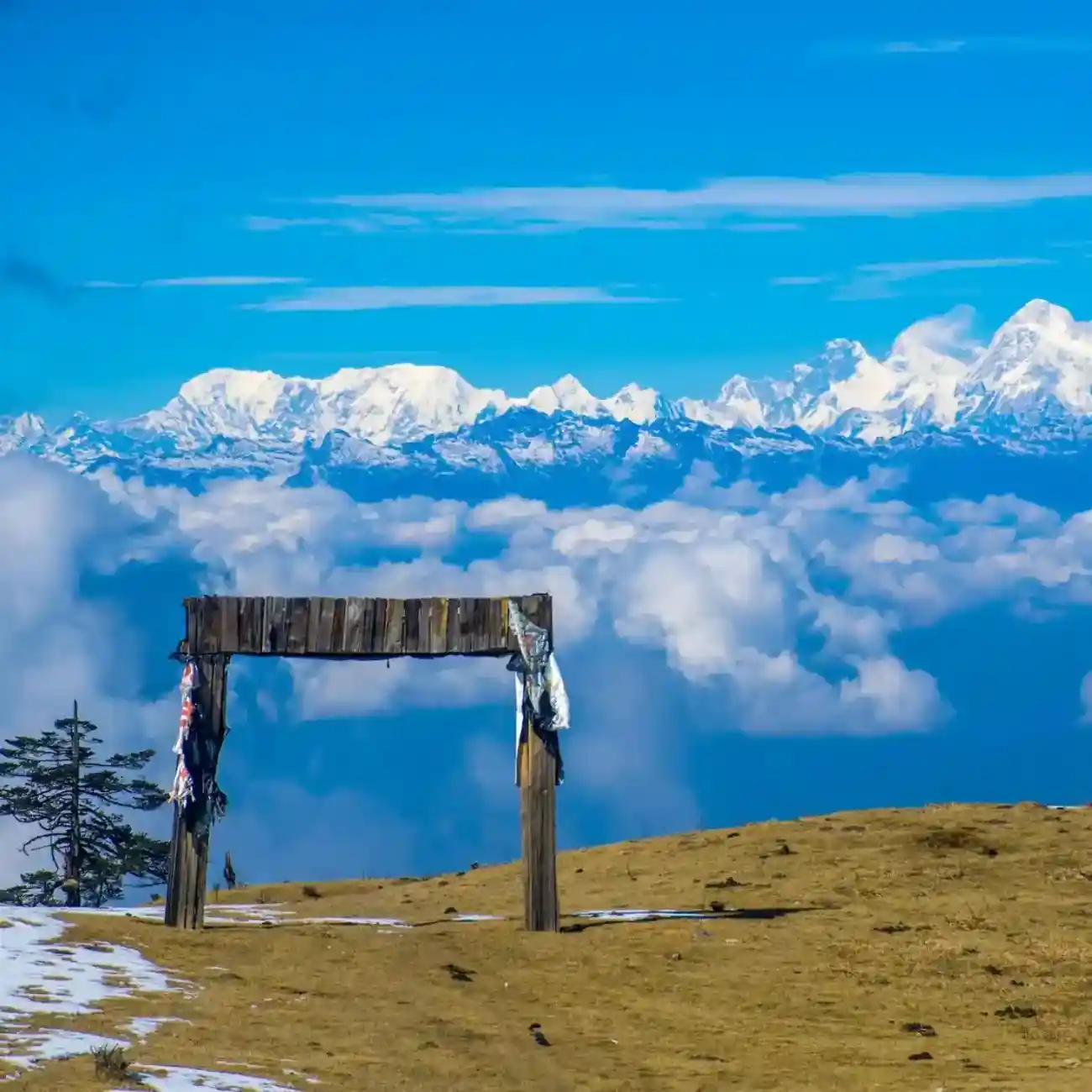Sandakphu package tour from NJP with Touristhub holidays