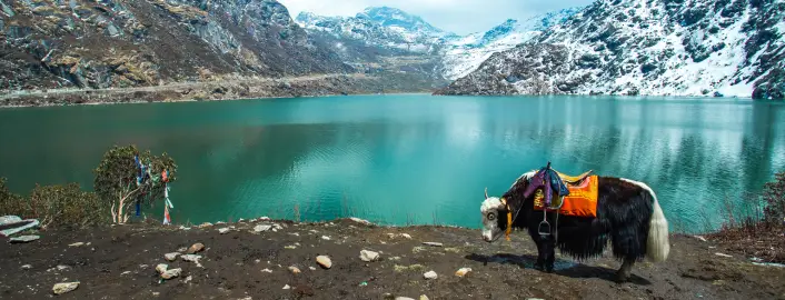 north sikkim family tours with Touristhub Holidays