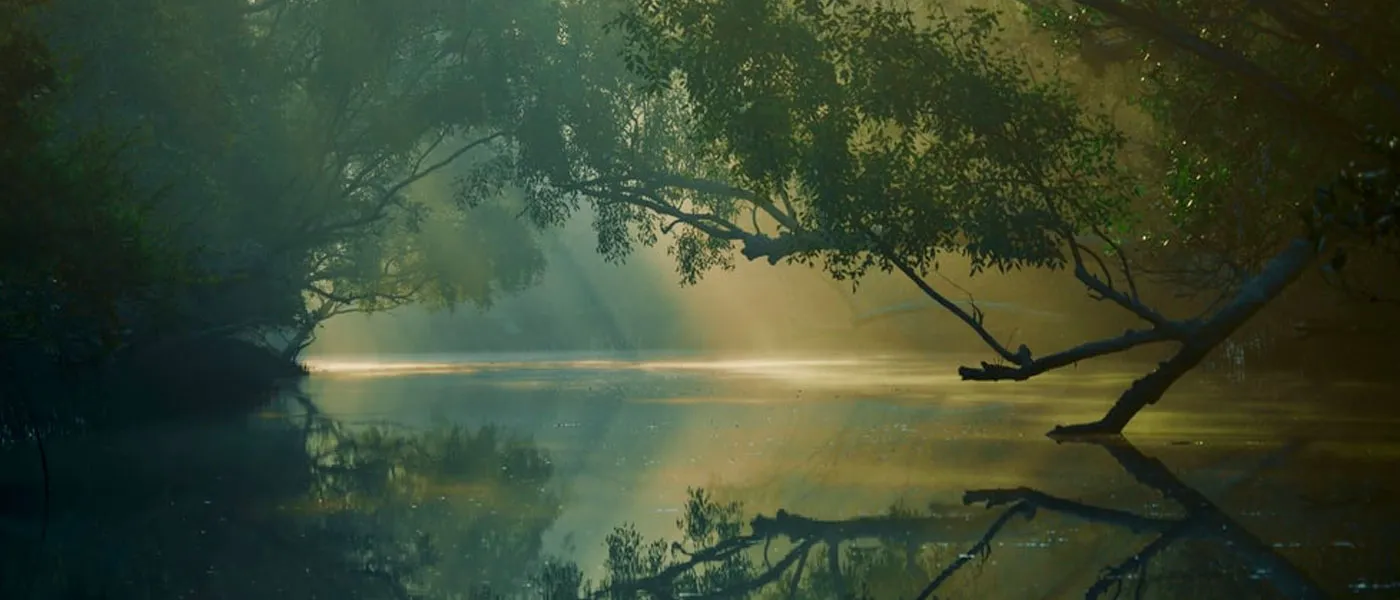sundarban from Delhi with Touristhub Holidays