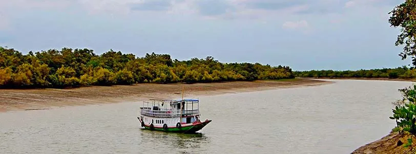 Sundarban Tour for 1 Night 2 Days with Touristhub Holidays