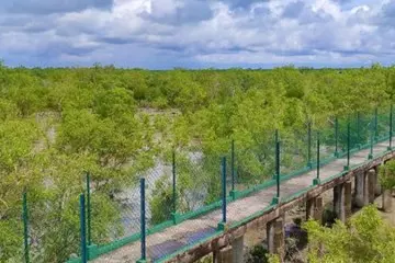 Sundarban Resort