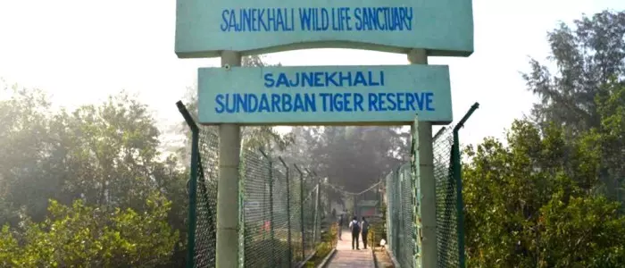 sundarban-tour-touristhubindia