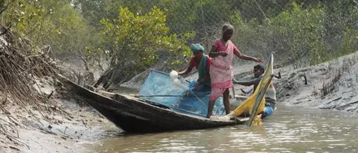 sundarban-tour-touristhubindia