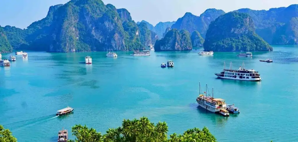 tours to Vietnam from Nagpur with Touristhub Holidays